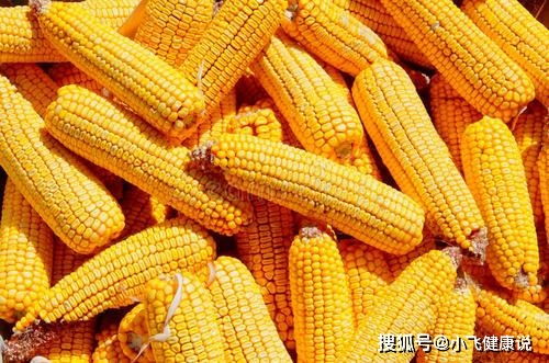 玉米面是粗糧還是細糧？營養(yǎng)師提醒 糖尿病人吃玉米面，別犯三個錯